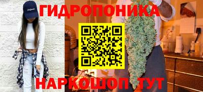 индика Заводоуковск