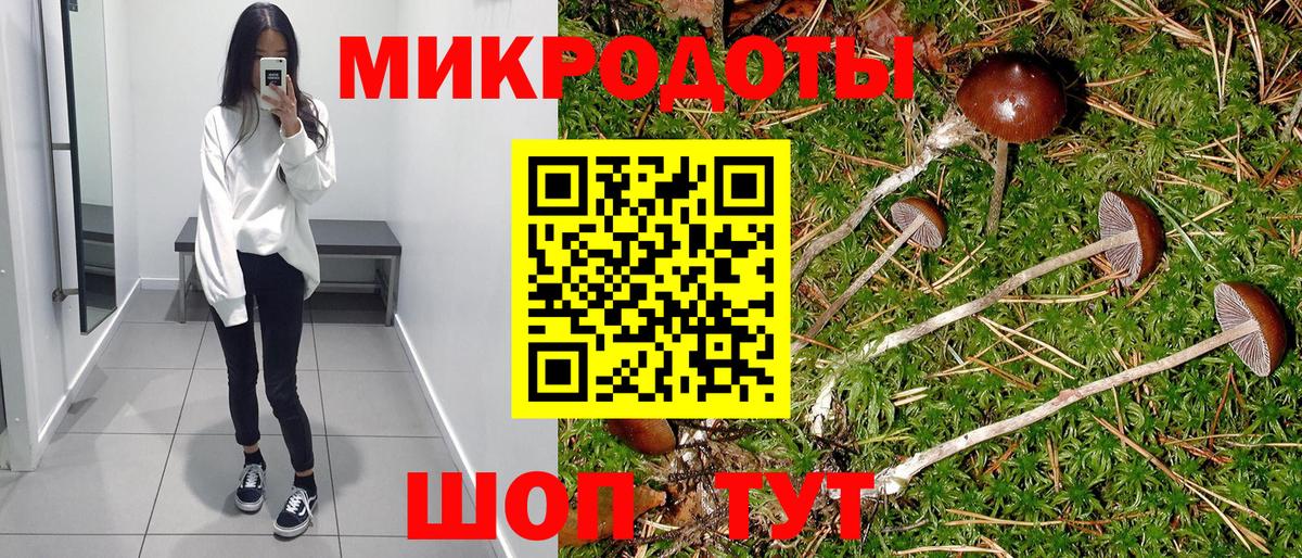 Лыткарино  Псилоцибиновые грибы мицелий  Галлюциногенные грибы Cubensis  Вход с VPN 