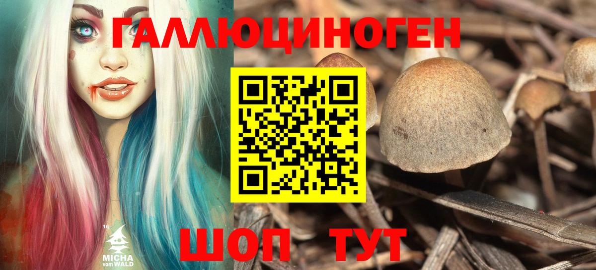 Псилоцибиновые грибы прущие грибы Лыткарино